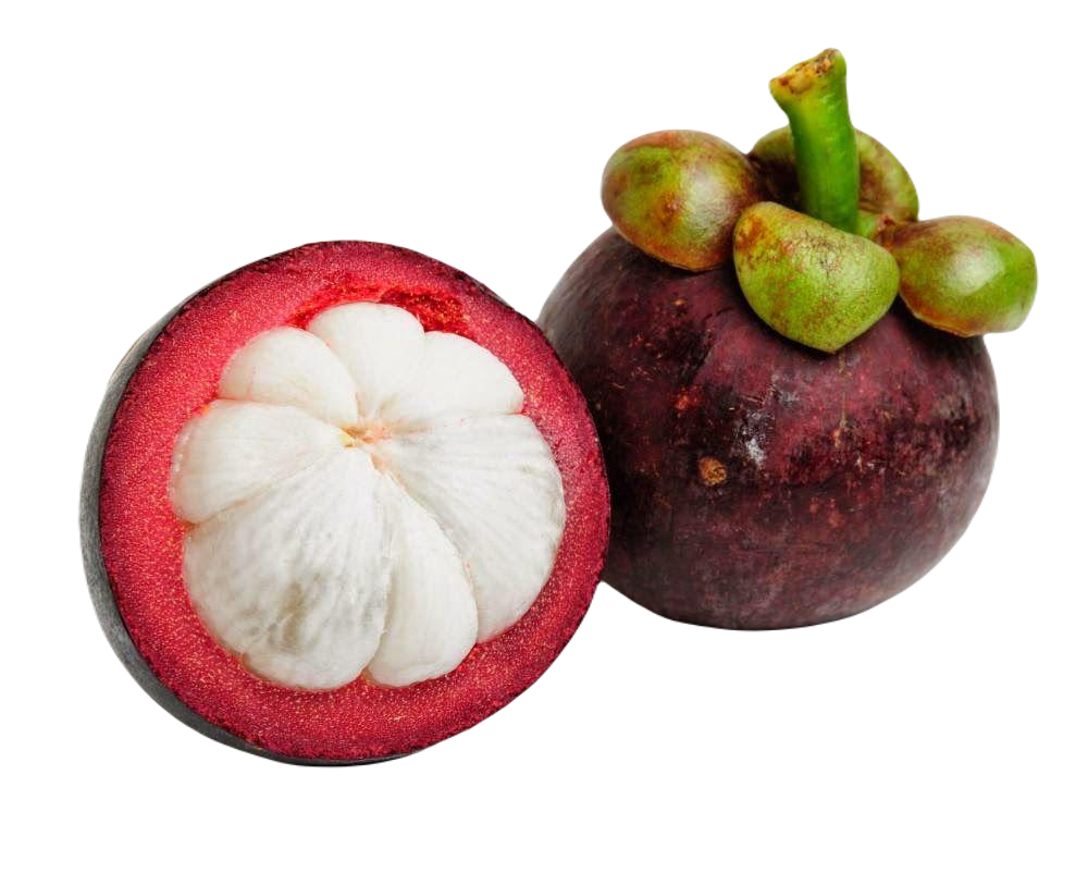 Mangostan