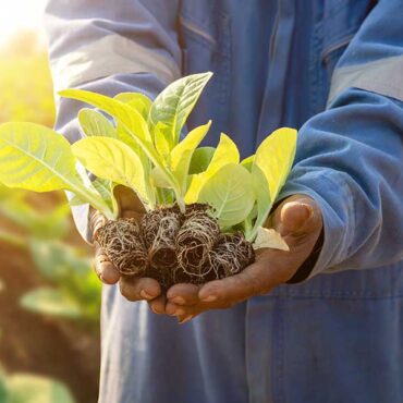 organic store services