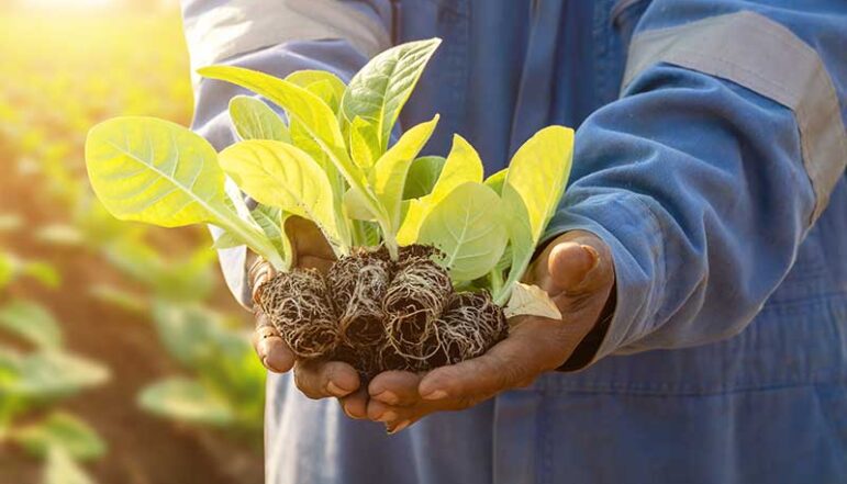 organic store services