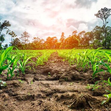 product delivery services