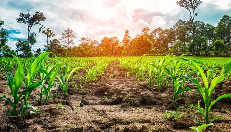 product delivery services