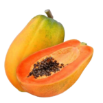 papaya