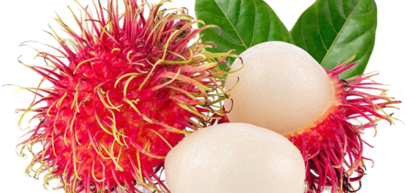 Rambutan