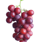 kırmızı Üzüm