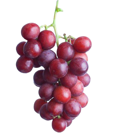 kırmızı Üzüm