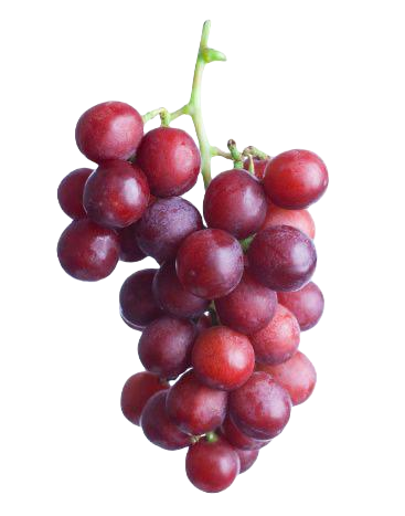 kırmızı Üzüm