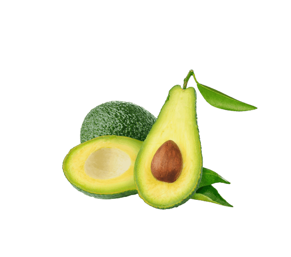 organic avocado