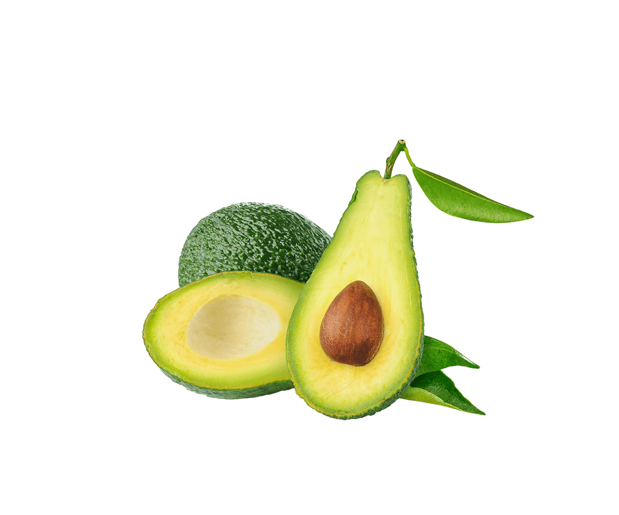organic avocado